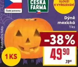 Billa Ceska Farma Dýně mexická nabídka