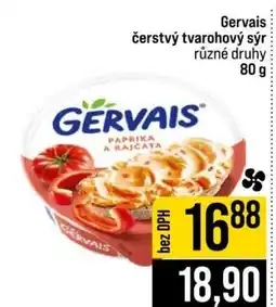 Jip Gervais nabídka
