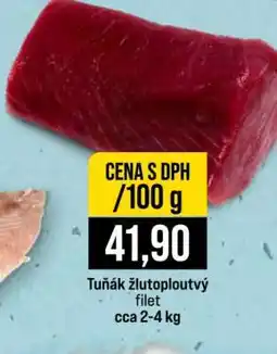 Jip Tuňák žlutoploutvý nabídka