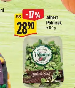 Albert Albert Polníček nabídka