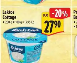 Albert Laktos Cottage nabídka