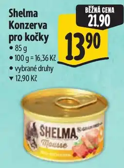 Albert Shelma konzerva pro kočky nabídka