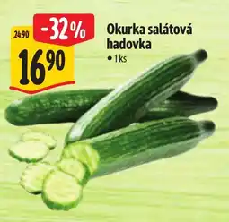 Albert Okurka salátová hadovka nabídka