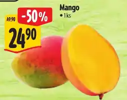 Albert Mango nabídka