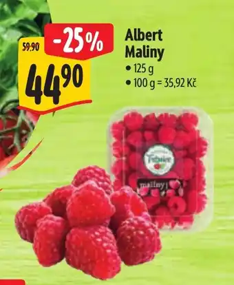 Albert Albert Maliny nabídka
