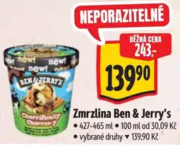 Albert Zmrzlina Ben & Jerry's nabídka