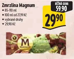 Albert Magnum Zmrzlina nabídka