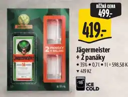 Albert Jägermeister + 2 panáky nabídka