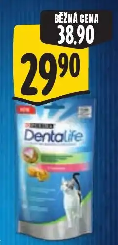 Albert Dentalife nabídka