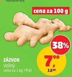 Penny Market Zázvor volný nabídka