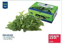 Makro Máta zelená nabídka