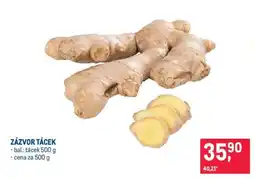 Makro ZÁZVOR TÁCEK nabídka