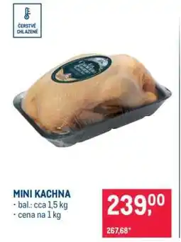 Makro MINI KACHNA nabídka