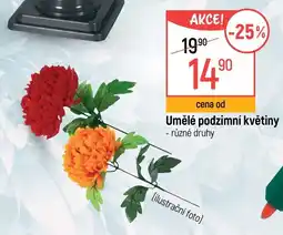 Globus Umělé podzimní květiny nabídka