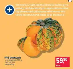 Makro DÝNĚ CHAMELEON nabídka