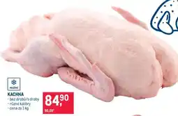 Makro KACHNA nabídka