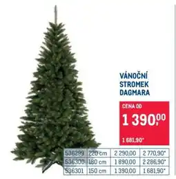 Makro Vánoční stromek Dagmara nabídka
