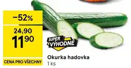 Tesco Okurka hadovka nabídka