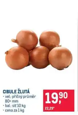 Makro Cibule žlutá nabídka