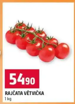 Terno RAJČATA VĚTVIČKA nabídka