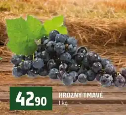 Terno Hrozny tmavé nabídka