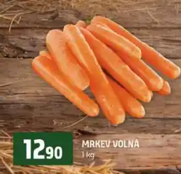 Terno Mrkev volná nabídka