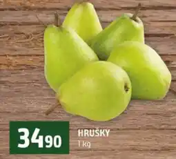 Terno HRUŠKY nabídka