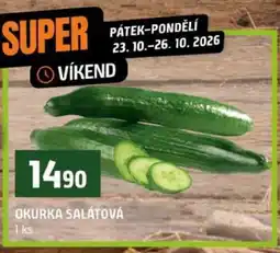 Terno OKURKA SALÁTOVÁ nabídka