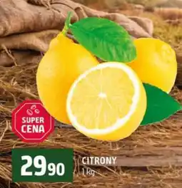 Terno Citrony nabídka