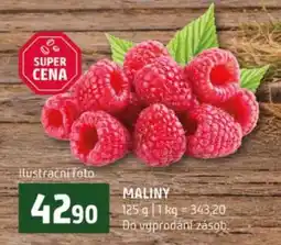 Terno Maliny nabídka
