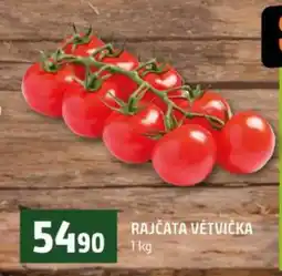 Terno RAJČATA VĚTVIČKA nabídka