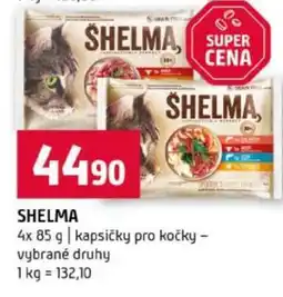 Terno Shelma nabídka