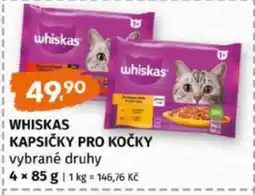 Terno Whiskas kapsičky pro kočky nabídka