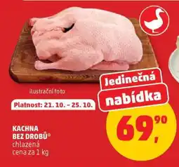 Penny Market Kachna bez drobů nabídka