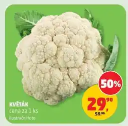 Penny Market Květák nabídka