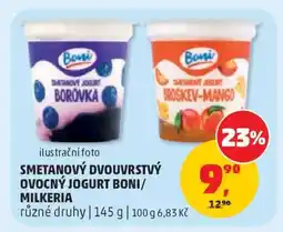 Penny Market SMETANOVÝ DVOJVRSTVÝ OVOCNÝ JOGURT BONI/MILKERIA nabídka