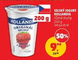 Penny Market SELSKÝ JOGURT HOLLANDIA nabídka