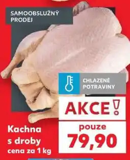 Kaufland KACHNA S DROBY nabídka