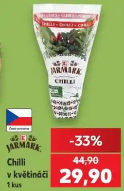 Kaufland Chilli v květináči nabídka