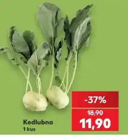 Kaufland KEDLUBNA nabídka