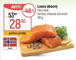 Globus LOSOS OBECNÝ nabídka