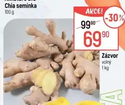 Globus Zázvor volný nabídka