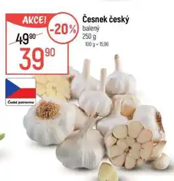 Globus ČESNEK ČESKÝ nabídka