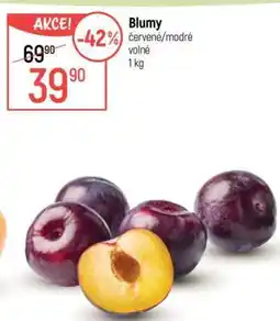Globus Blumy nabídka