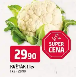 Trefa květák nabídka
