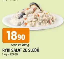 Trefa Rybí salát ze sleďů nabídka