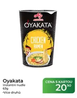 Tamda Foods Oyakata instantní nudle nabídka