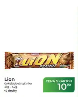 Tamda Foods Lion čokoládová tyčinka nabídka