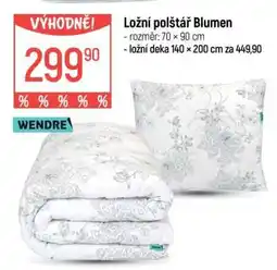 Globus Ložní polštář Blumen nabídka