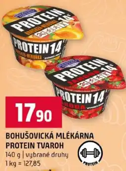 Terno Bohušovická mlékárna protein tvaroh nabídka